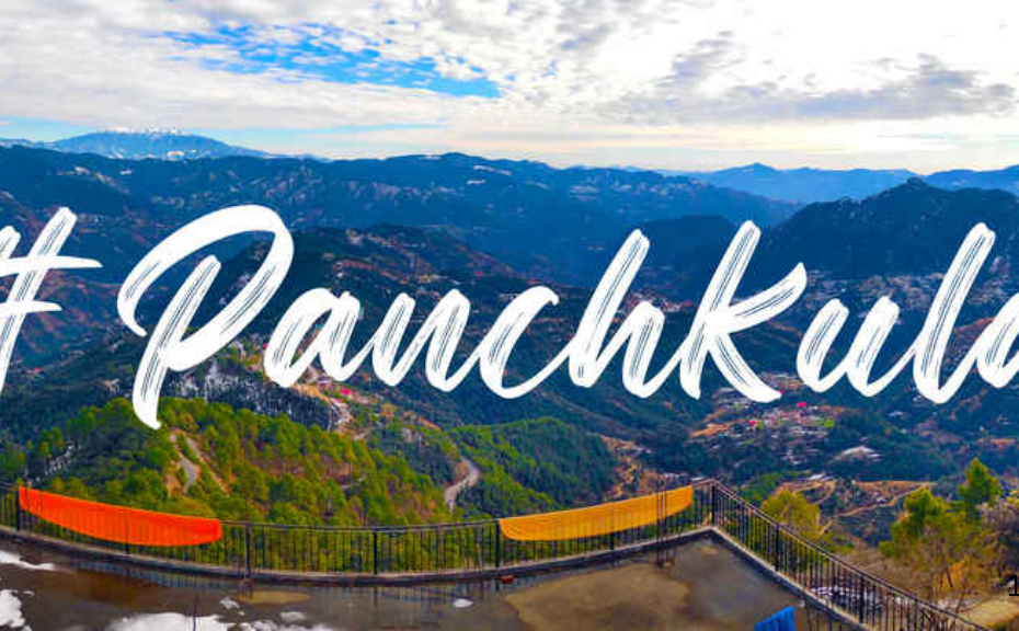 Best Newspaper Ad Agency in Panchkula